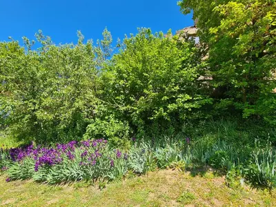 Giardino di Apartment di Magnano by Interhome