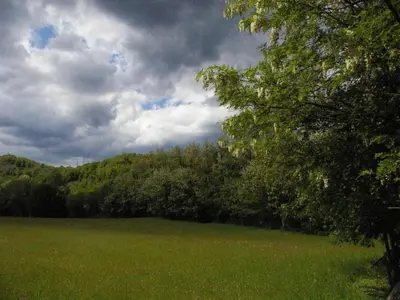 Paesaggio naturale nelle vicinanze della casa vacanze