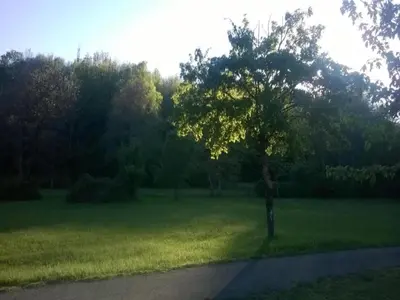 Ospiti di Holiday Home in Tuscany with Natural Pond