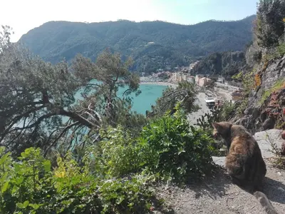 Paesaggio naturale nelle vicinanze dell'appartamento