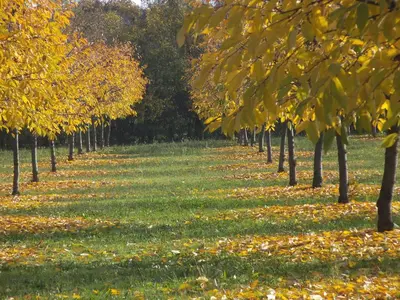 Giardino di Alloggio Cantalupo