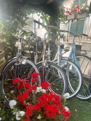 Attività di ciclismo presso l'appartamento o nelle vicinanze