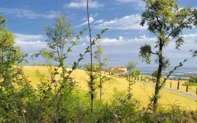 Paesaggio naturale nelle vicinanze dell'hotel