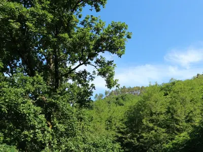 Paesaggio naturale nelle vicinanze della casa vacanze