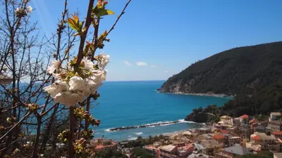 Paesaggio naturale nelle vicinanze dell'hotel