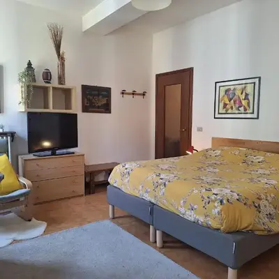 Stanza in appartamento condiviso nel centro storico di Parma