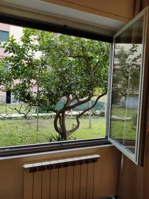 Giardino di Centrale nel verde int 1