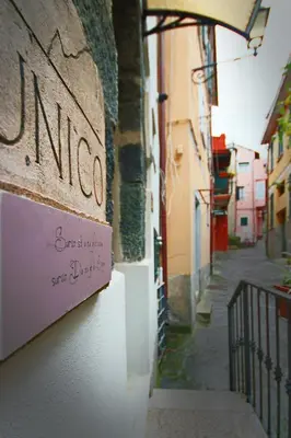 Planimetria di Unico