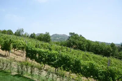 Paesaggio naturale nelle vicinanze dell'agriturismo