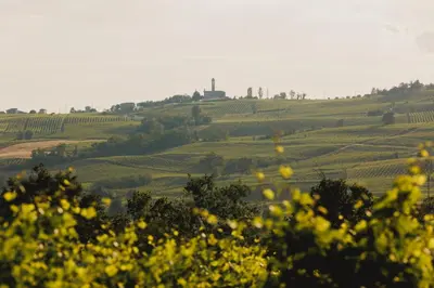 Paesaggio naturale nelle vicinanze del bed & breakfast