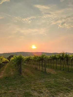 Paesaggio naturale nelle vicinanze del bed & breakfast