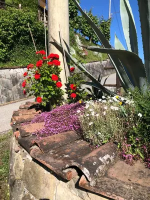 Giardino di Casa Vacanze Lillo