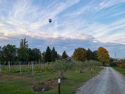 Paesaggio naturale nelle vicinanze del bed & breakfast
