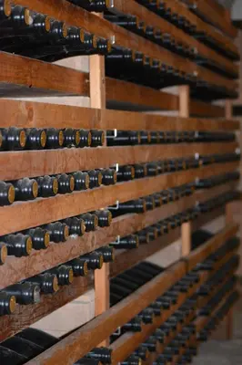 Planimetria di tenuta i musi lunghi