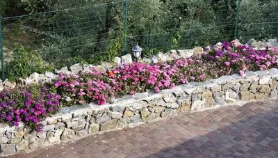 Giardino di Ca' Bianca B&B