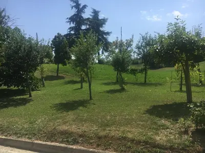Giardino di B & B Pratopiano