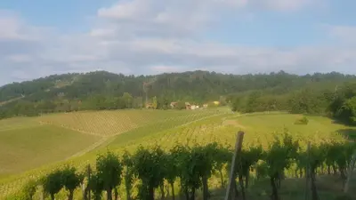 Paesaggio naturale nelle vicinanze dell'agriturismo