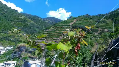 Paesaggio naturale nelle vicinanze della casa vacanze