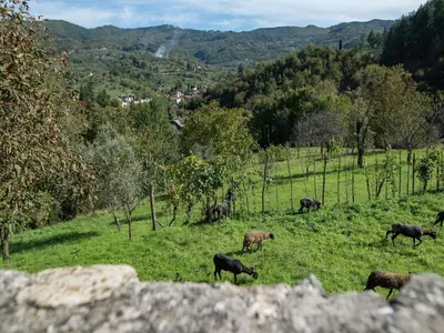 Paesaggio naturale nelle vicinanze dell'appartamento