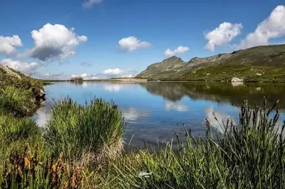 Paesaggio naturale nelle vicinanze dello chalet