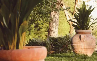 Giardino di Locanda San Martino