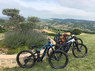 Attività di ciclismo presso il bed & breakfast o nelle vicinanze
