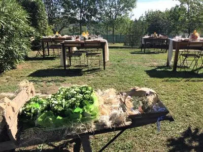 Giardino di Villa Zene