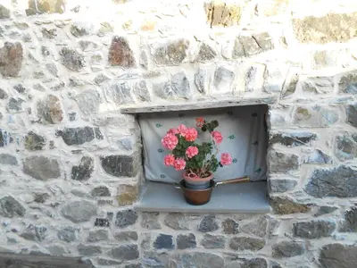 Planimetria di Azienda Agrituristica Risveglio Naturale