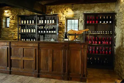 Salone o bar di Castello di Viano
