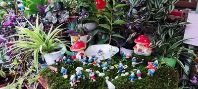 Giardino di Nel giardino di Oz