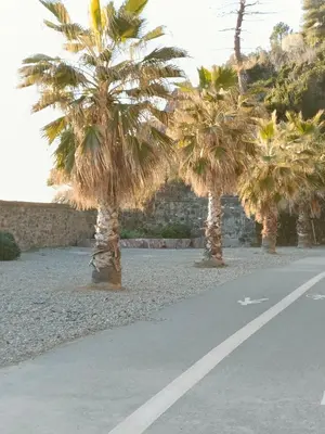 Paesaggio naturale nelle vicinanze dell'appartamento
