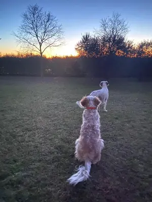 Alba o tramonto visti dall'interno della villa o dai dintorni