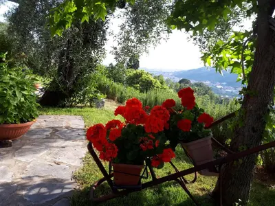 Paesaggio naturale nelle vicinanze del bed & breakfast