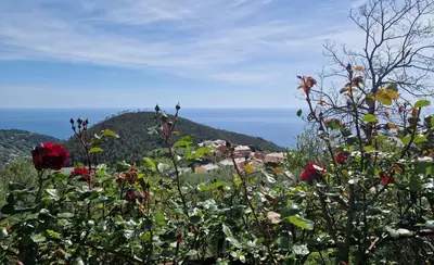 Paesaggio naturale nelle vicinanze dell'affittacamere