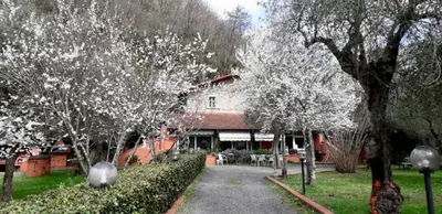 Planimetria di Gli Ulivi Bed & breakfast