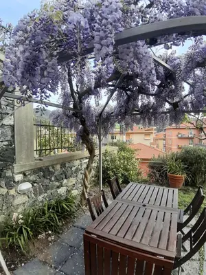 Giardino di I LIMONI già Torretta