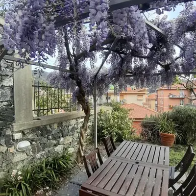 I LIMONI già Torretta