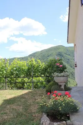 Vista generica sulle montagne o vista sulle montagne dall'interno della casa vacanze