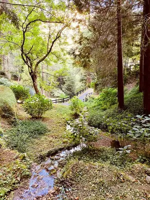 Paesaggio naturale nelle vicinanze dell'appartamento