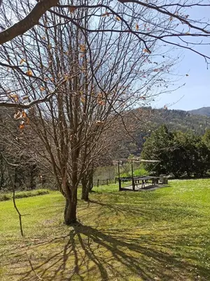 Paesaggio naturale nelle vicinanze dell'appartamento