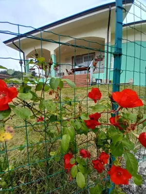 Giardino di Archi Di Sole