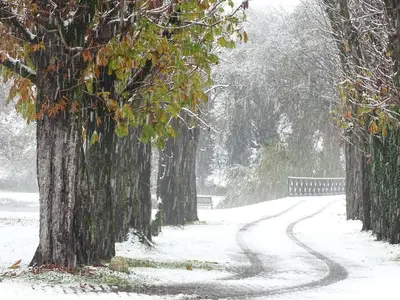 Corte Isolo durante l'inverno