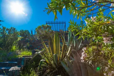 Giardino di GIARDINO SUL MARE House - Levanto Sea View