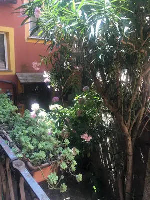 Giardino di Appartamento Fiordaliso