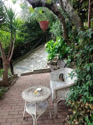Giardino di Appartamento Azalea