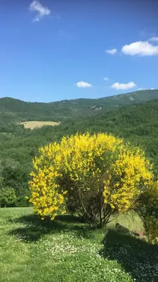 Paesaggio naturale nelle vicinanze dell'appartamento