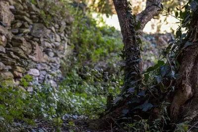 Paesaggio naturale nelle vicinanze dell'appartamento