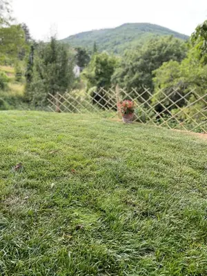 Paesaggio naturale nelle vicinanze della casa vacanze