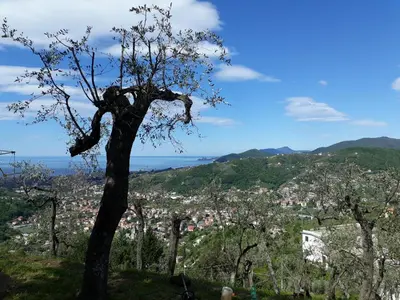 Paesaggio naturale nelle vicinanze dell'affittacamere