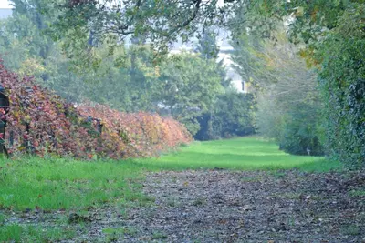 Giardino di Alloggio Cantalupo